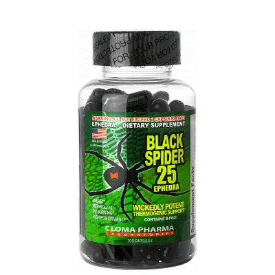 black spider